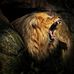 Alan Sadaka - Facebook