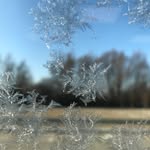 Alan Sadowski - @duzy_pan_elblag - Instagram