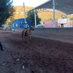 Alan Saenz - @alansaenz82 - Instagram