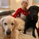alan safran - @alansafran - Instagram
