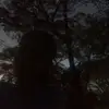 Ayan,Alan,Sagan,Ariz - @arey_yo_gang - TikTok