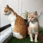 Mr Alan&Babe Sage - @alan_sage_ - Instagram