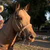 Alan - @alan.salas0131 - TikTok