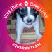 Allan Salem - Facebook