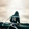 Alan Salim - @alansalim6 - TikTok