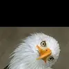 Alan Salm - @alan.salm2 - TikTok