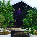Alan Salsman - @crondon1330 - Instagram