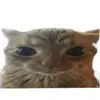 alans alt - @alans.alt7 - TikTok