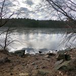 Alan Saltman - @backyard_bounty_hunter - Instagram
