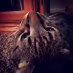 Alan Samples - @alan.samples - Instagram