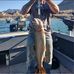 Allen Sanborn - Facebook