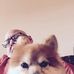 Alan Sandee - Facebook