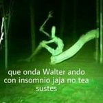 Alan sandler - @momasos_xd12 - Instagram