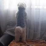 Aaaaaaaaalan vera - @alansappy - Instagram