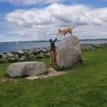 Alan Sappington - @alansappington - Instagram