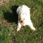Alan Sargent - @alansargent1 - Instagram