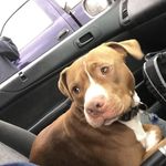 Alan Satterlee - @satterleealan - Instagram