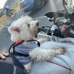 Alan Sawyer - @jscharry31 - Instagram
