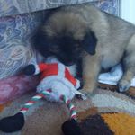 Alan Sawyer - @alan.sawyer.543 - Instagram