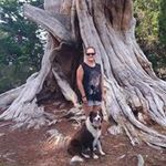 Alan Sawyer - @alan.sawyer.9256 - Instagram