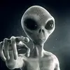 👽 Alan Schade 👽 - @tokytokeaton88 - TikTok