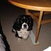Allan Schreiber - Facebook