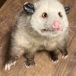 Alan Seals - @alanseals - Instagram