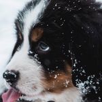 Alan Senn - @alan_senn09 - Instagram
