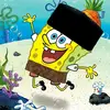 Alan Shandy - @alan.shandy - TikTok