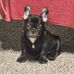 Alan Shank - Facebook
