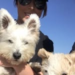Alan Shankland - @shanklandalan - Instagram