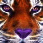 Alan Shattuck - @sirdonjassr - Instagram
