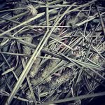 Alan's hay and straw for sale - @alans_hay_and_straw_for_sale - Instagram