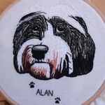 Alan Shearer the Dog - @alanshearerthedog - Instagram
