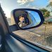 Alan Pscheidt - Facebook
