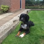 Alan Sheffield - @sheff2069 - Instagram