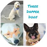 Sheleg + Lance + Max - @threedapperdogs - Instagram