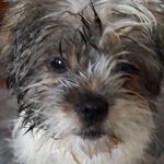 Alan Sheriff - @sheriff4 - Instagram