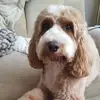 Alan Sherriff - @alan.sherriff - TikTok