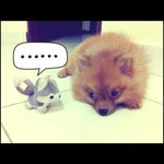 @alan_shiah - Instagram