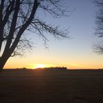Alan Shaffer - @alan_shaffer - Instagram