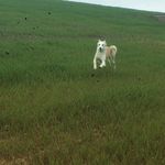 Alan Shilling - @al198251 - Instagram