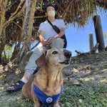 Alan Shiu - @alanshiu109 - Instagram