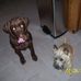 Brent Alan Shockley - Facebook