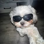 Alanshu19 - @alanshu_bhatta - Instagram