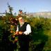 Alan Ira Silver - Facebook