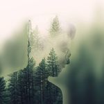 Alan Shum - @alanshumky - Instagram