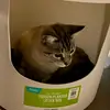 alan - @alansianez - TikTok