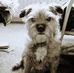 Alan Sides - Facebook