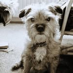 Alan Sides - @sides_alan - Instagram